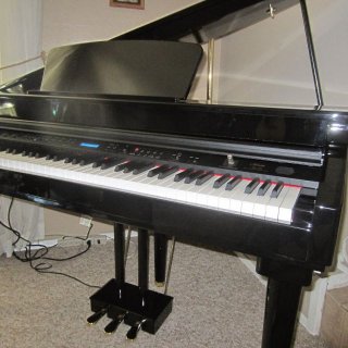 Photo of Mini Grand Digital Piano for Sale