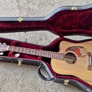 Photo of Eye-catching and Unique Martin Cutaway Acoustic/Electric Guitar