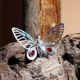Photo of The nice brooch.