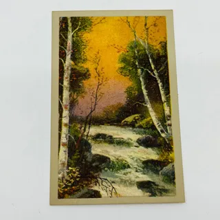 Photo of c1900 Victorian Trade Card C.A. Dorney Furniture Company Allentown PA AK7-M3