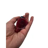 Listing Photo Thumb #2