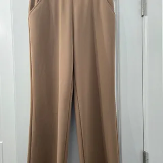 Photo of Elegant Tan Angel Cult Dress Pants