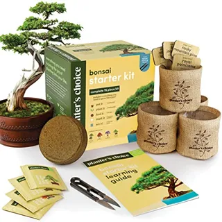 Photo of Bonsai Starter Kit – Gardening Gift for Women & Men