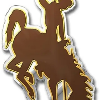 Photo of University of Wyoming Cowboys Auto Emblem, Aluminum Metal, Embossed Team Color, Raised Decal Sticker, Full Adhesive Backing