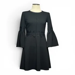 Photo of Banana Republic Lace Trim Bell Sleeve Fit and Flare Mini Dress Lace Black 2