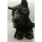 Listing Photo Thumb #2
