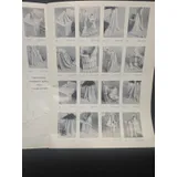 Listing Photo Thumb #4