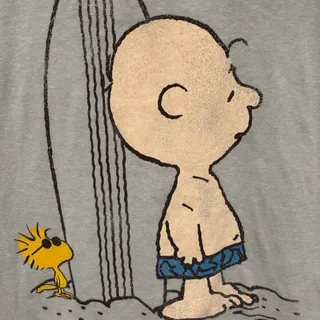 Photo of Charlie Brown surf t-shirt size large