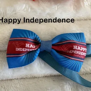 Photo of Pet Dog Cat Bow Ties USA 4th of July 250th Happy Independence Day NEW