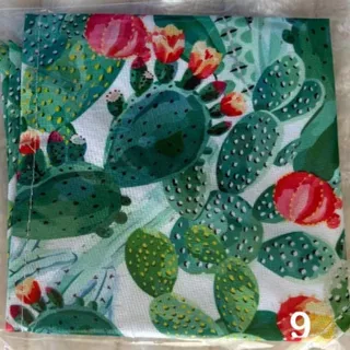 Photo of Pet Dog Cat Bandanas Medium Tropical Theme Fruit Cactus Floral NEW