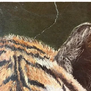 Photo of Vintage Charles Bloom Signed 1973 Tiger Art Print - 15.5" x 13" Brown & Orange