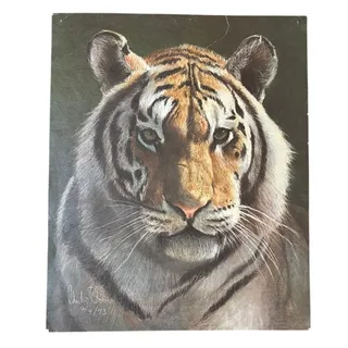 Photo of Vintage Charles Bloom Signed 1973 Tiger Art Print - 15.5" x 13" Brown & Orange