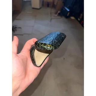 Photo of Vintage Reptile Like Skin Green Leather Women Fashion Sunglass Sunglasses Case
