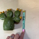 Listing Photo Thumb #5