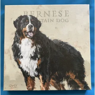 Photo of Bernese Mountain Dog Darren Gygi Canvas Giclee Print 9"W x 9"L USA