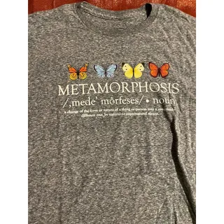 Photo of Neon Riot Shirt Unisex L Metamorphosis Butterflies Gray Heather Graphic Tee