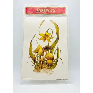 Photo of NOS 1976 Donald Art Co Print Yellow Trout Lilly And Mushrooms 10"X 7"