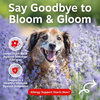 Photo of Zesty Paws Allergy & Immune Bites for Dogs – New (90 Soft Chews) Exp 2027