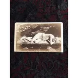 Listing Photo Thumb #1