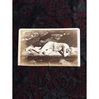 Photo of Rare Antique CDV - Pompeii Mummy - Carte de Visite - Archeology