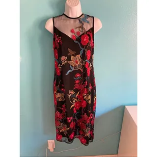 Photo of Adrianna Papell Dress 8 NWOT Dancing Garden Mesh Floral Embroidered Illusion