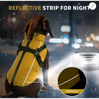 Photo of PcEoTllar brand, warm coat XL tag is actually tailored for small to medium dogs