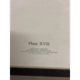 Listing Photo Thumb #8