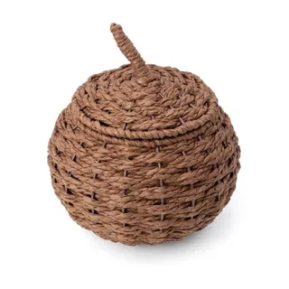 Photo of Woven Fall Novelty Storage Pumpkin