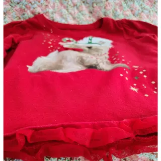 Photo of Red Girls Toddler Holiday Shirt With Dog 24 Months
