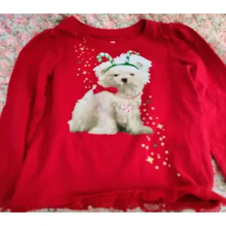 Photo of Red Girls Toddler Holiday Shirt With Dog 24 Months