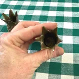 Listing Photo Thumb #7