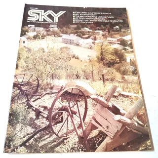 Photo of Delta SKY In-Flight Magazine May 1981 - Sea World, Amex, Indy Race