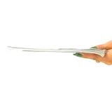 Listing Photo Thumb #4