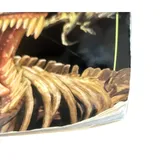Listing Photo Thumb #5