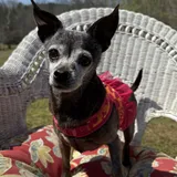 Listing Photo Thumb #7