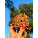Listing Photo Thumb #4