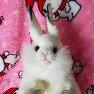 Photo of Hansa Creation White Rabbit Hand Puppet Realistic Plush Bunny Handmade 7156