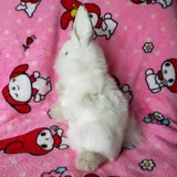 Listing Photo Thumb #3