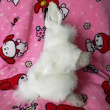 Listing Photo Thumb #5