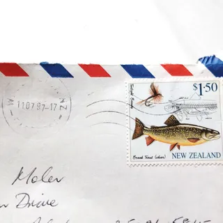 Photo of New Zealand 1997 Brook Trout $1.50 Stamp Airmail FastPost Cover to USA