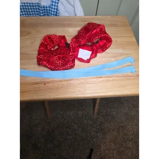 Photo of Rubies Wizard of Oz Dorthy Costume with Hair Ribbons and Ruby Red Shoe Covers