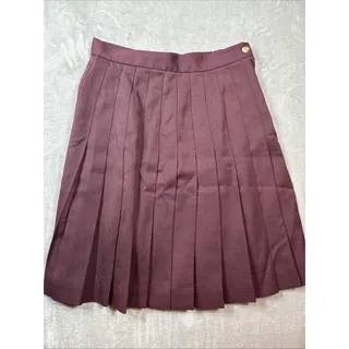 Photo of Vtg 90s Ambitions Maroon/ Plum Purple Midi Skirt Boho Dark Academia Size 8