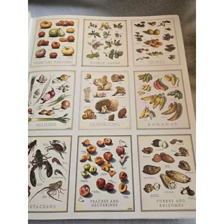 Photo of The Cook's Illustrated Cookbook (First Edition, 2011)