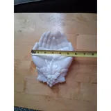 Listing Photo Thumb #5