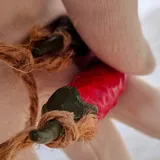 Listing Photo Thumb #4