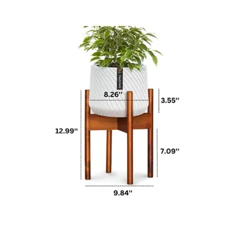 Photo of Fox & Fern 8" Mid-Century Plant Stand – Acacia Wood, Indoor Holder