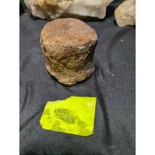 Photo of Fossislized Specimen Natural Form ( 11oz)
