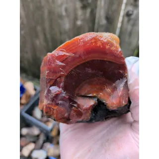 Photo of Red Carnelian Agate Specimen 