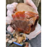 Listing Photo Thumb #5