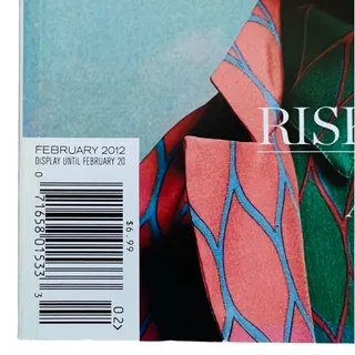Photo of Surface Magazine Issue 92 February 2012 Risk Reward Chinese Design Kenzo Lladro